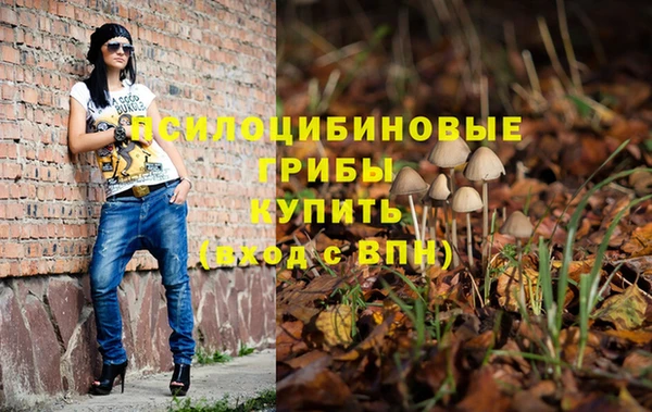 МДПВ Армянск
