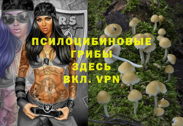 спиды Арсеньев