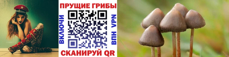 продажа наркотиков  kraken рабочий сайт  Галлюциногенные грибы Psilocybine cubensis  Пенза 