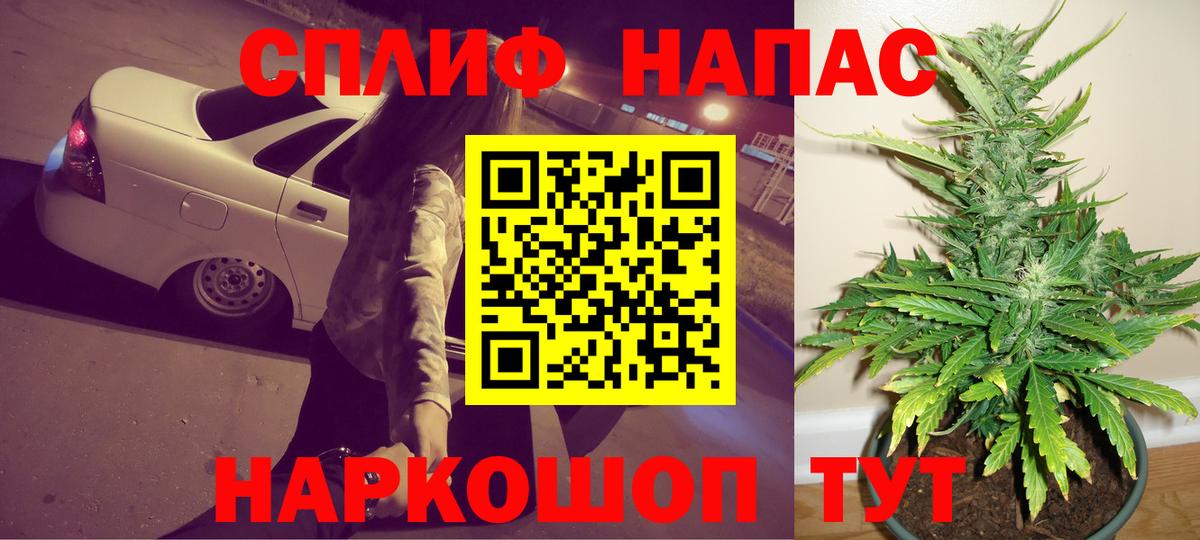 Марихуана семена Пенза